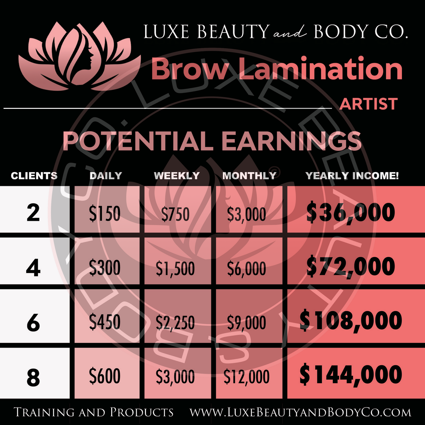 Complete Brow Lamination Starter set displayed with tools and solutions.