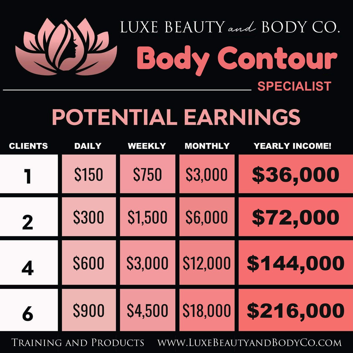 Body Contour income chart