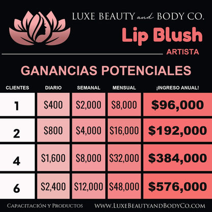 Gráfico de ingresos Lip Blush
