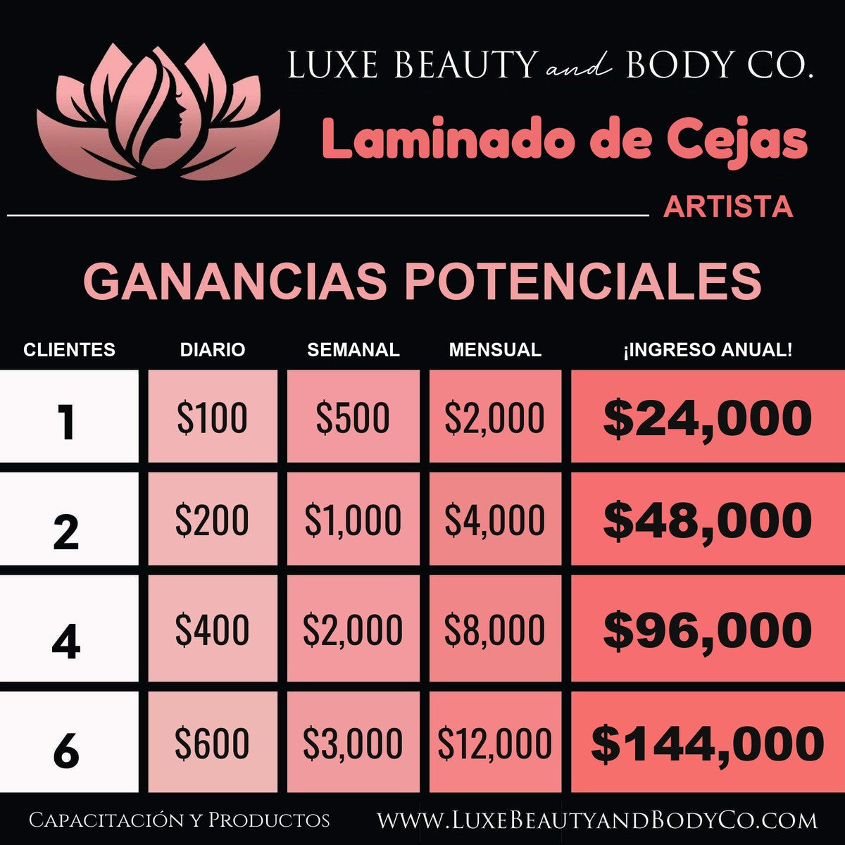 Gráfico de ingresos Laminado de Cejas