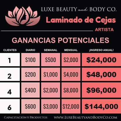 Gráfico de ingresos Laminado de Cejas